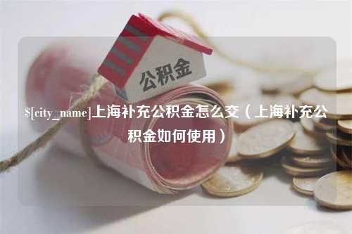 珠海上海补充公积金怎么交（上海补充公积金如何使用）